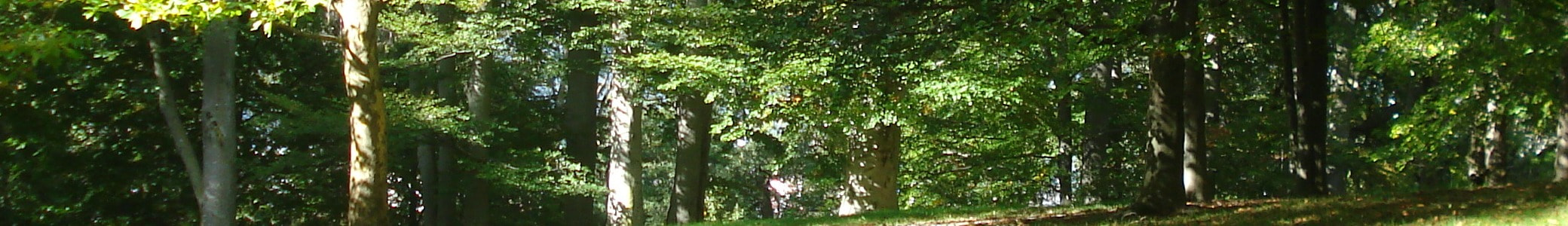 国立大学医学部合格への道